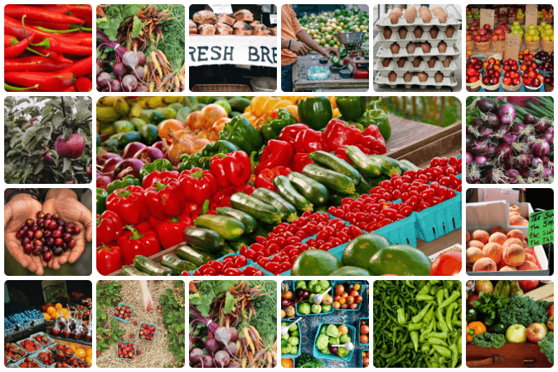 Interactive Illinois Farmers Market Map & Directory to 294 IL Locations